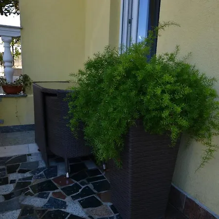 Apartment Pula 20 *