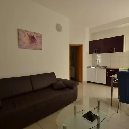 Apartment Pula 20 * Vintijan